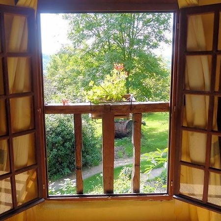 Bed and Breakfast La Boursaie Livarot-Pays-d'Auge Экстерьер фото